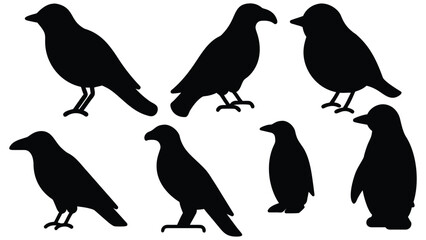 Naklejka premium set of silhouettes of birds