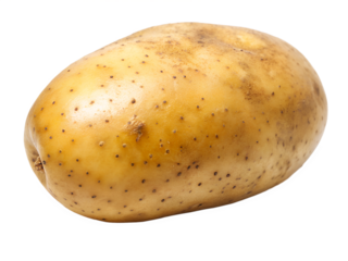 Fresh potato tuber featuring an oblong shape and speckled skin, presented against a stark black backdrop for maximum visual impact, transparent background