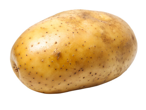 Fresh potato tuber featuring an oblong shape and speckled skin, presented against a stark black backdrop for maximum visual impact, transparent background