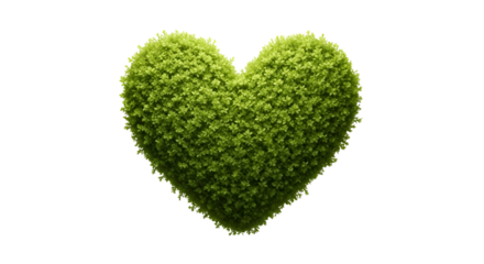 Green Heart Shaped Topiary Plant with Dense Foliage on Transparent Background for Nature and Love Themes