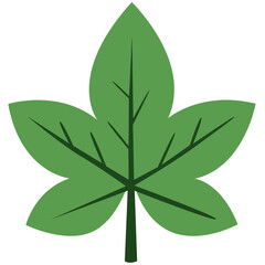 Palmate green leaf with five lobes, flat minimal style, isolated on white background, perfect for nature and creative projects.