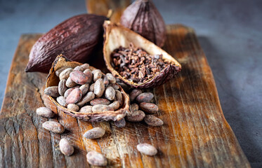 cocoa bean and cocoa nibs, cacao pods