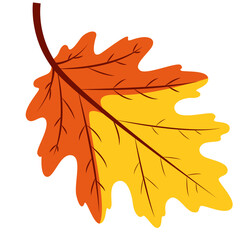 Yellow and orange oak leaf, isolated on white background, flat minimal style, perfect for autumn, seasonal, and creative designs.