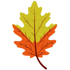 Green and orange oak leaf, flat minimal style, isolated on white background, perfect for creative, decorative, and seasonal autumn designs.