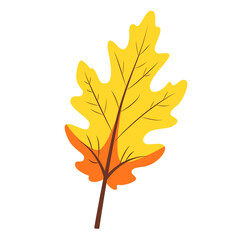 Yellow and orange oak leaf, flat minimal style, isolated on white background, perfect for autumn, seasonal, and decorative creative projects.