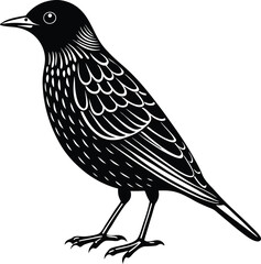 Single Starling Bird Silhouette Icon Design.