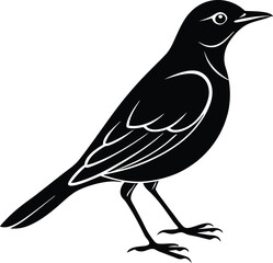 Single Thrush Bird Silhouette Vector Icon.