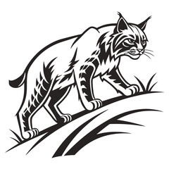 Fototapeta premium A lynx walks through grass looking alert