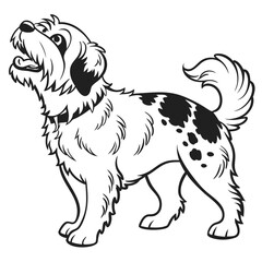 Obraz premium A happy dog with black spots looks up