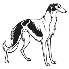 A borzoi dog in a stylized black and white illustration
