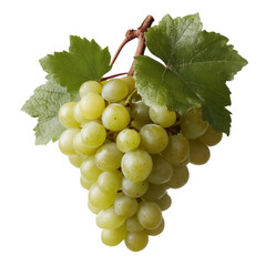 Obraz premium Fresh green grapes with leaves on a bright white background, perfect for healthy eating themes and fruit-related concepts.
