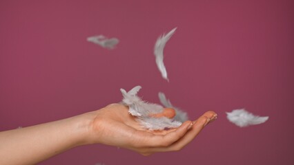 Delicate Feathers Gently Falling onto Open Women Palm