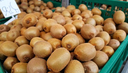 キウイフルーツのグラフィック素材イラスト