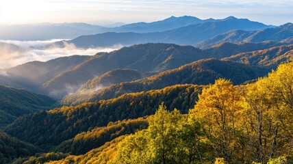 Fototapeta premium Elevated landscape of forested hills in full autumn color with layered light and shadow