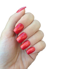 Beautiful bright manicure with shiny red nail polish close up isolated on white background