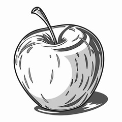 vector illustration of an apple