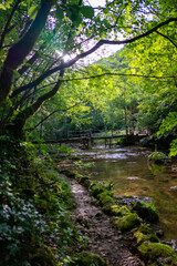 Wooden Bridge and Untouched Nature Near Bliha Waterfall