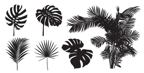 Black and white tropical leaves and plants in various shapes and patterns, vector illustration set. Includes monstera, palm, and other exotic leaves in a stylized, simple design.