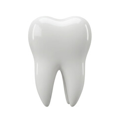 Realistic Healthy White Tooth
