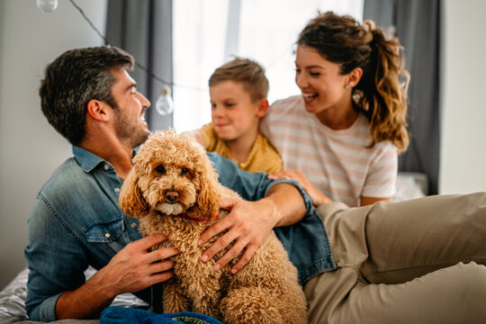 Mother, father and kid with dog in living room for quality time, love and care together on weekend