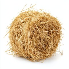 Round bale of hay isolated on white background.