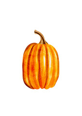Orange pumpkin in watercolor style without background