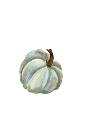 Blue pumpkin, watercolor illustration, without background