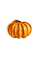 Orange pumpkin in watercolor style without background