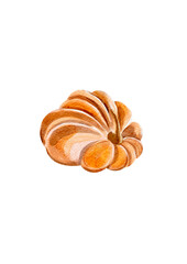 Orange pumpkin in watercolor style without background