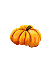 Orange pumpkin in watercolor style without background