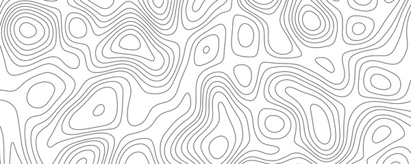 Beautiful Light topographic topo contour map background. Presentation background design. Suitable for presentation template, wallpaper, backdrop, poster, flyer, etc. Topographic map pattern background