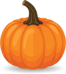 Pumpkin isolated on white background autumn harvest vegetable illustration