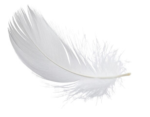 Fototapeta premium Single White Feather Gently Floating Mid-Air, Isolated on Transparent Background