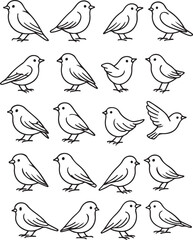 A set of cute bird line art bundles