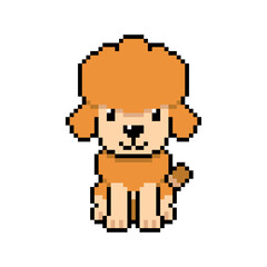 Obraz premium Pixel art poodle dog vector in retro style