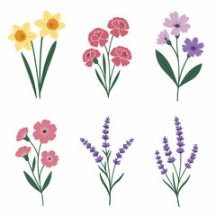Obraz premium Colorful Floral Collection Featuring Springtime Flowers