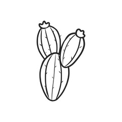 Simple Hand-Drawn Black and White Cactus Plant with Detailed Spines Illustration