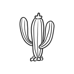 Simple Hand-Drawn Black and White Cactus Plant with Detailed Spines Illustration
