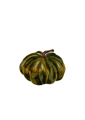 Green pumpkin, illustration in watercolor, without background