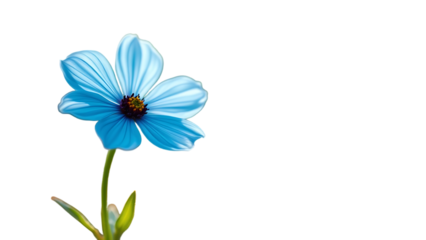 Isolated Light Blue Flower Cartoon Illustration isolated on transparent background