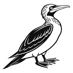Obraz premium A black and white illustration of a seabird standing, isolated
