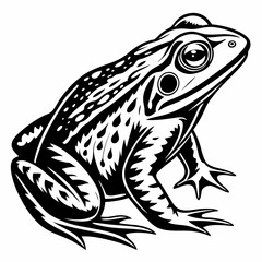 A detailed black and white illustration of a frog