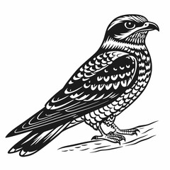 Obraz premium A falcon stands on a branch in this black and white graphic