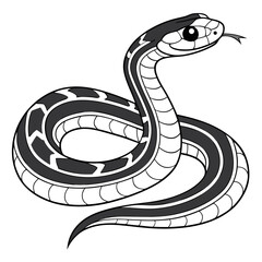 Fototapeta premium A garter snake coiled and ready to strike