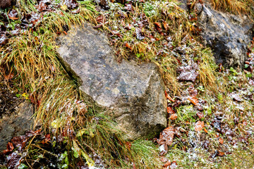 Mossy rocks on wet grassy terrain for texture, nature and outdoor environment concepts