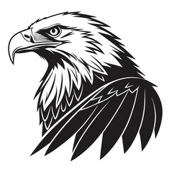 Obraz premium Closeup profile of a majestic eagles head