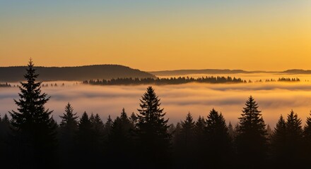 Obraz premium Tranquil Forest Landscape with Fog at Sunset, Evoking Serenity and Mystery