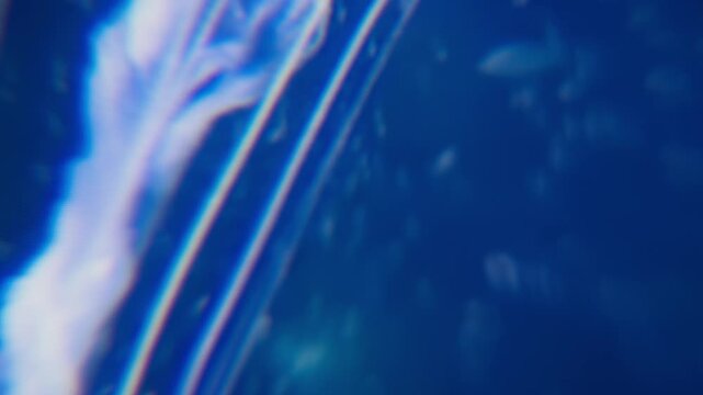 Experimental Abstract Texture for Cutaway, B-Roll, Transition. Plants and Sea Animal