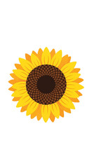 Simple sunflower illustration