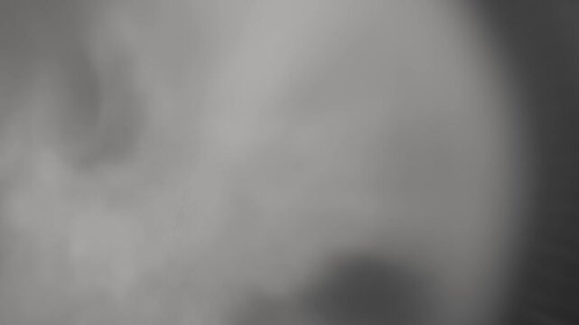 Experimental Abstract Texture for Cutaway, B-Roll, Transition. Plants and Sea Animal